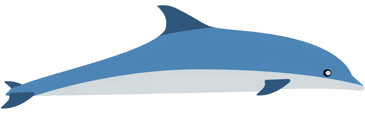 Harbour Porpoise